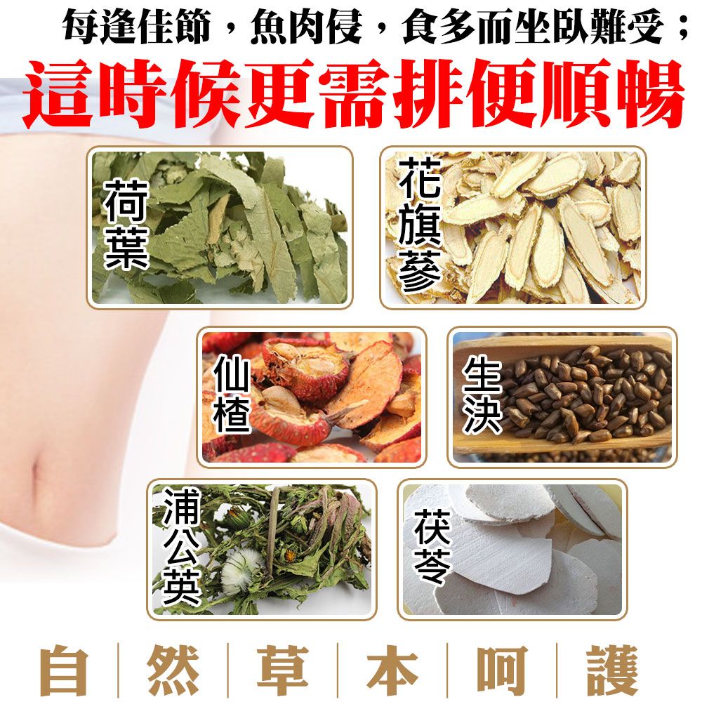  【蔘大王】荷葉順暢茶包X1組6gX10入/組幫助消化 清熱解暑 美食當前 有我墊後