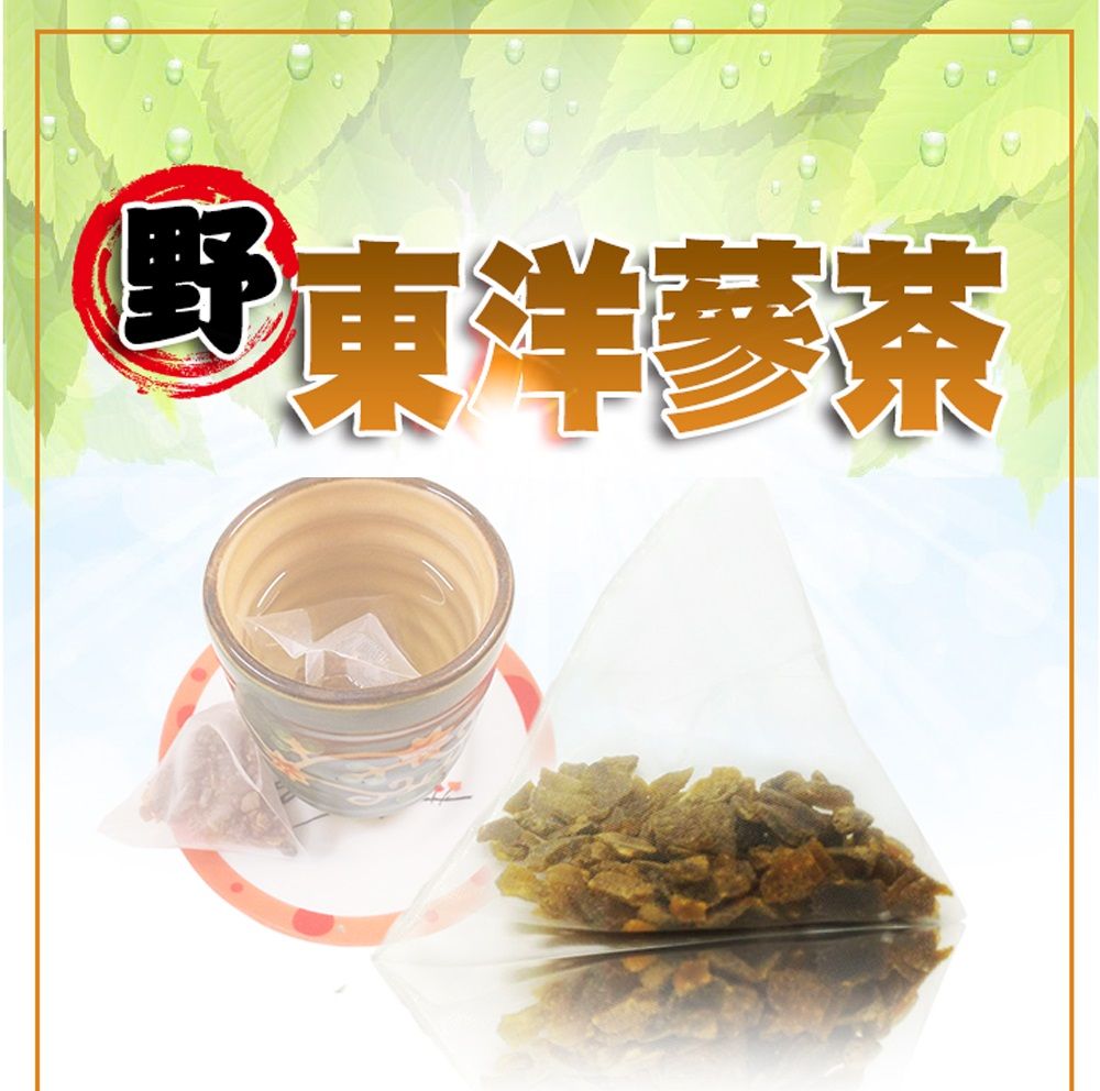  【蔘大王】溫氣韓國東洋蔘茶包X1組5gX10入/組養生太極蔘茶 清晰靈活 提升效率 維持活力