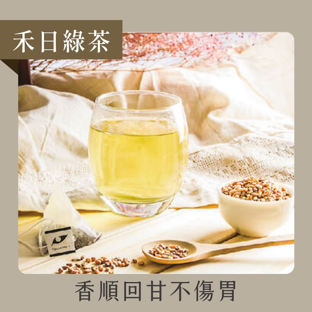 發現茶 -禾日綠茶 (15入熱泡茶包)