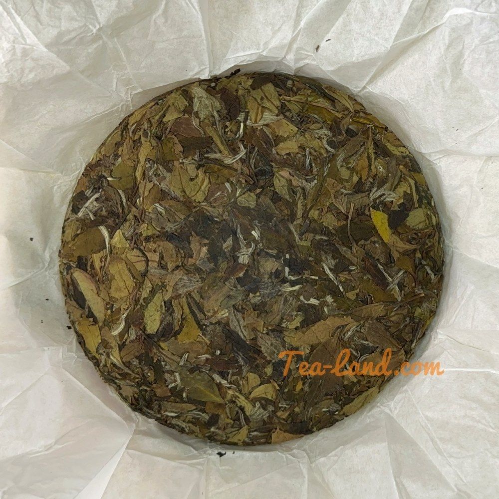 茶韻 普洱茶2010年福鼎高山白茶350克福鼎白茶(附茶樣10克.收藏袋各1)