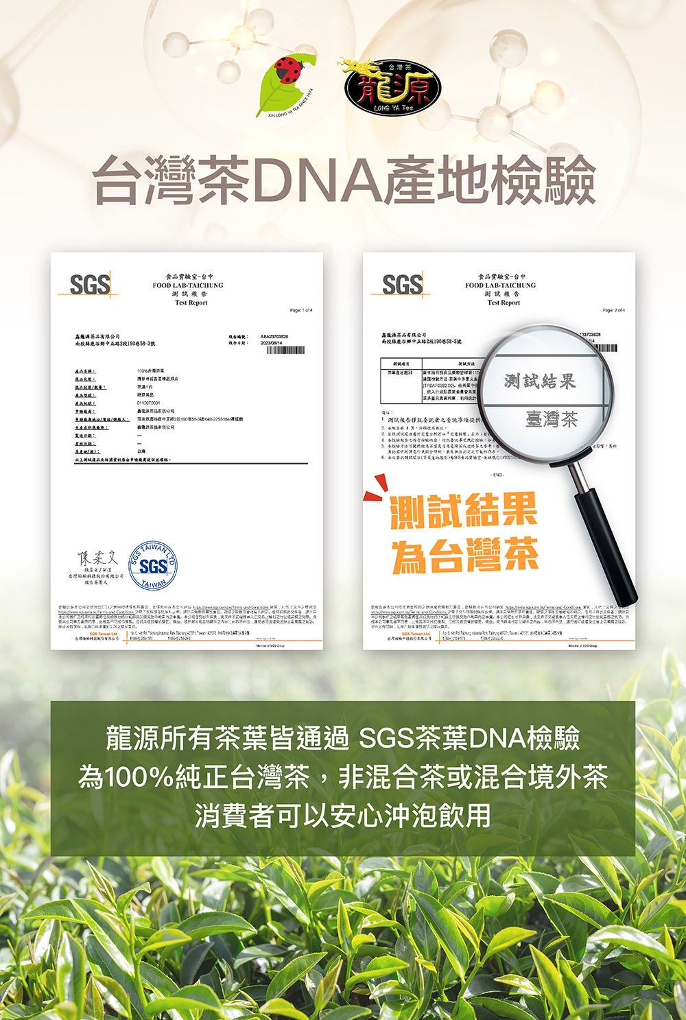 Y ea灣DNA產地檢驗GS食實驗室台FOOD AB-AICHUNGTest Report茶品南縣鹿谷中正路90SGS食品實驗室-台中FOOD LAB-TAICHUNGTest Report 1   100台品% A測試結果號投中段號 有限公司 僅就委託者之委託事项提供臺灣茶 :S TSGS® L  測試結果為台灣茶 T     2  龍源所有茶葉皆通過SGS茶葉DNA檢驗為100%純正台灣茶,非混合茶或混合境外茶消費者可以安心沖泡飲用