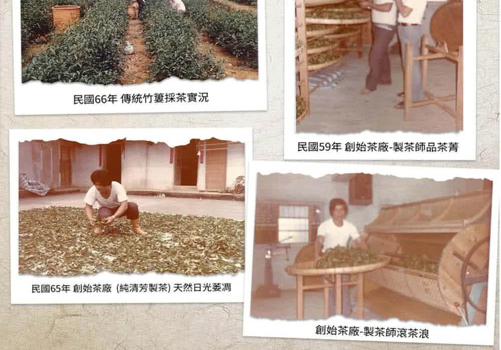 民國66年傳統採茶實況民國59年創始茶廠-製茶師品茶菁民國65年創始茶廠(純清芳製茶)天然日光萎凋創始茶廠-製茶師滾茶浪