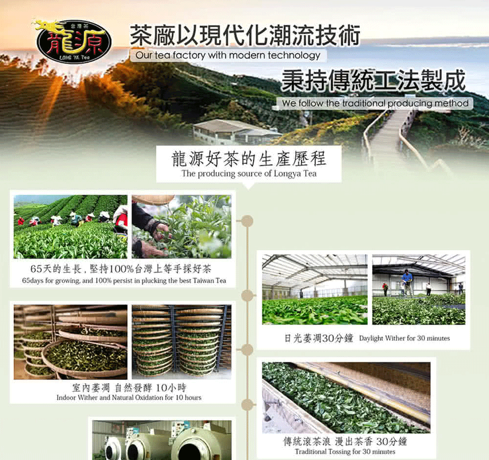 台灣茶廠以現代化潮流技術龍源  Our tea factory with modern technology秉持傳統法製成We follow the traditional producing method龍源好茶的生產歷程The producing source of Longya Tea65天的生長堅持100%台灣上等手採好茶65days for growing, and 100% persist in plucking the best Taiwan Tea室內萎凋 自然發酵10小時Indoor Wither and Natural Oxidation for 10 hours日光萎凋30分鐘 Daylight Wither for 30 minutes傳統滾茶浪漫出茶香 30分鐘Traditional Tossing for 30 minutes