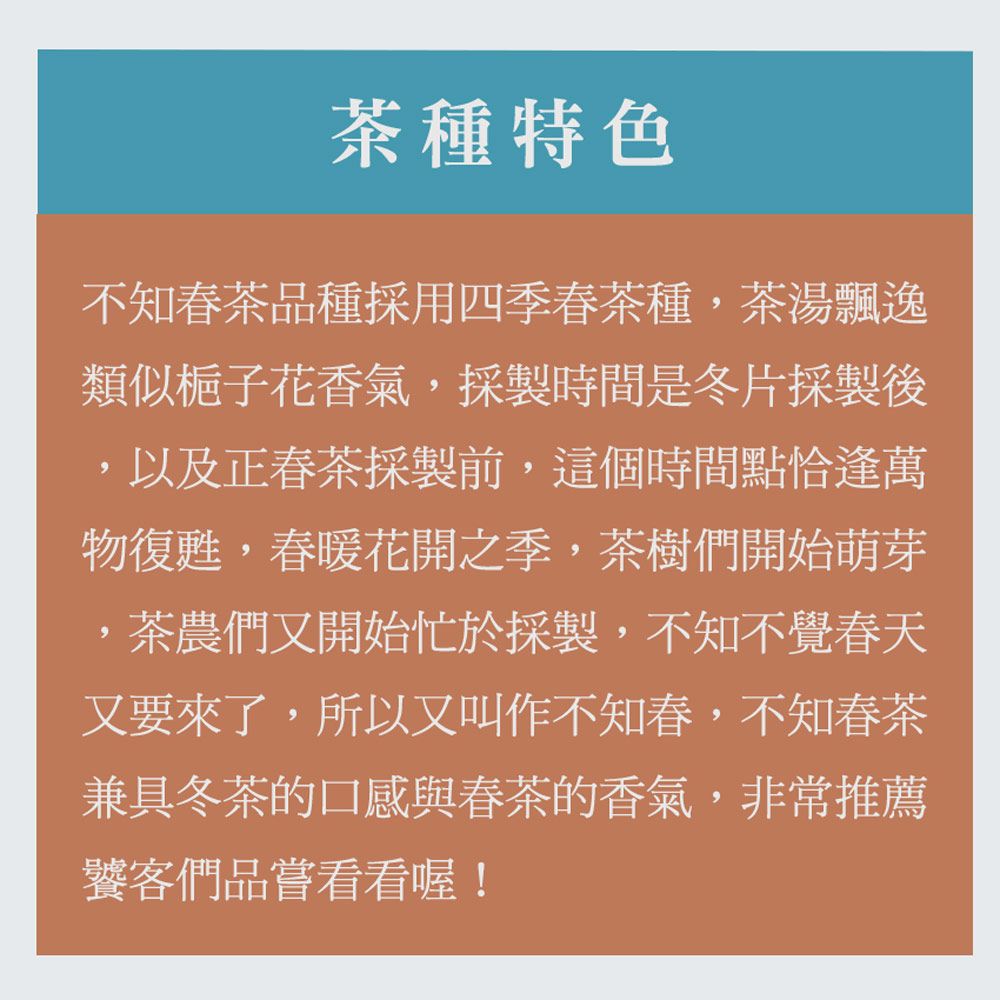 京盛宇 不知春 3g x15入原葉茶包(四季春茶/100%台灣茶葉)