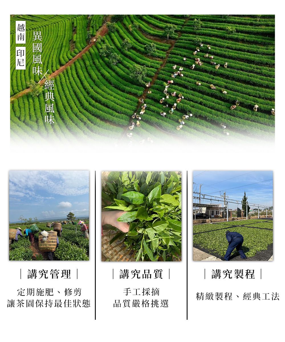 南異|講究管理|講究品質||講究製程|定期施肥、修剪讓茶園保持最佳狀態手工採摘精緻製程、經典工法品質嚴格挑選