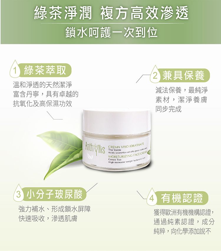 ANTHYLLIS 安舒綠 義大利 綠茶玻尿酸深層保濕霜(50ml)