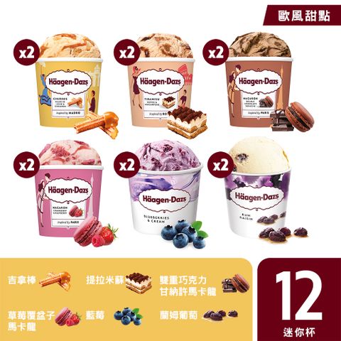 【哈根達斯-冷凍宅配】歐風甜點系列迷你杯12入組100ml(官方旗艦直送)