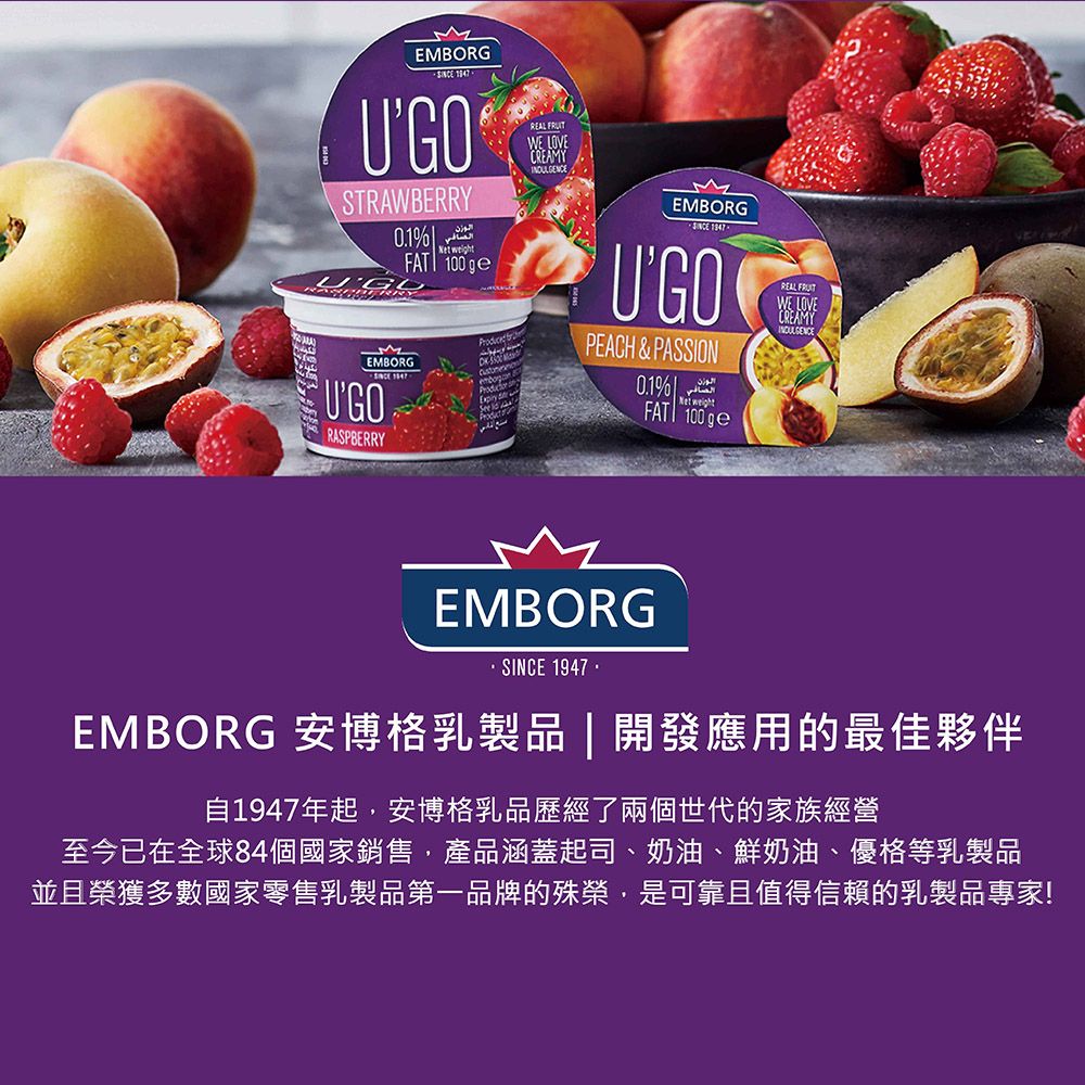 Emborg 安博格 覆盆莓優格 100g*20入 (超值優惠組!)