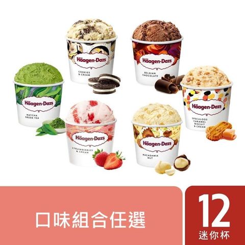 【哈根達斯-冷凍宅配】迷你杯100ml 12入組(綜合賣