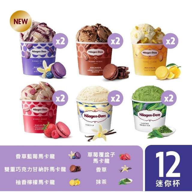 NEWx2)MACARON(x2)HäagenDazsx2( Häagen-Dazs香草藍莓馬卡龍雙重巧克力甘納許馬卡龍柚香檸檬馬卡龍(x2草莓覆盆子馬卡龍香草12抹茶迷你杯