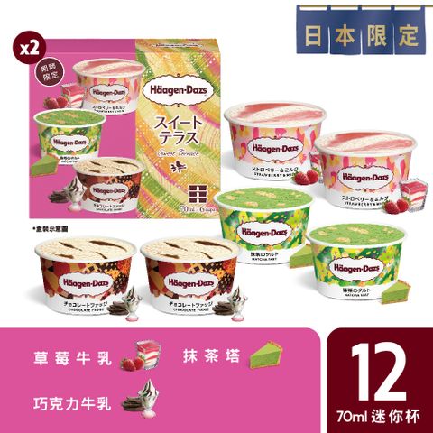 Haagen-Dazs 哈根達斯 【-冷凍宅配】和風午後迷你杯12入組(日本限定/官方旗艦直送)