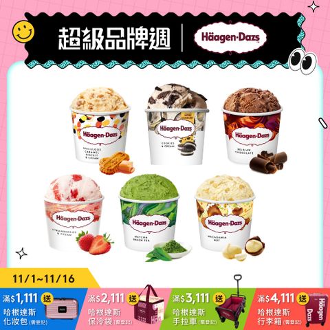 【哈根達斯】極致6重奏100ml6入組(歡慶派對/官方旗艦直送)