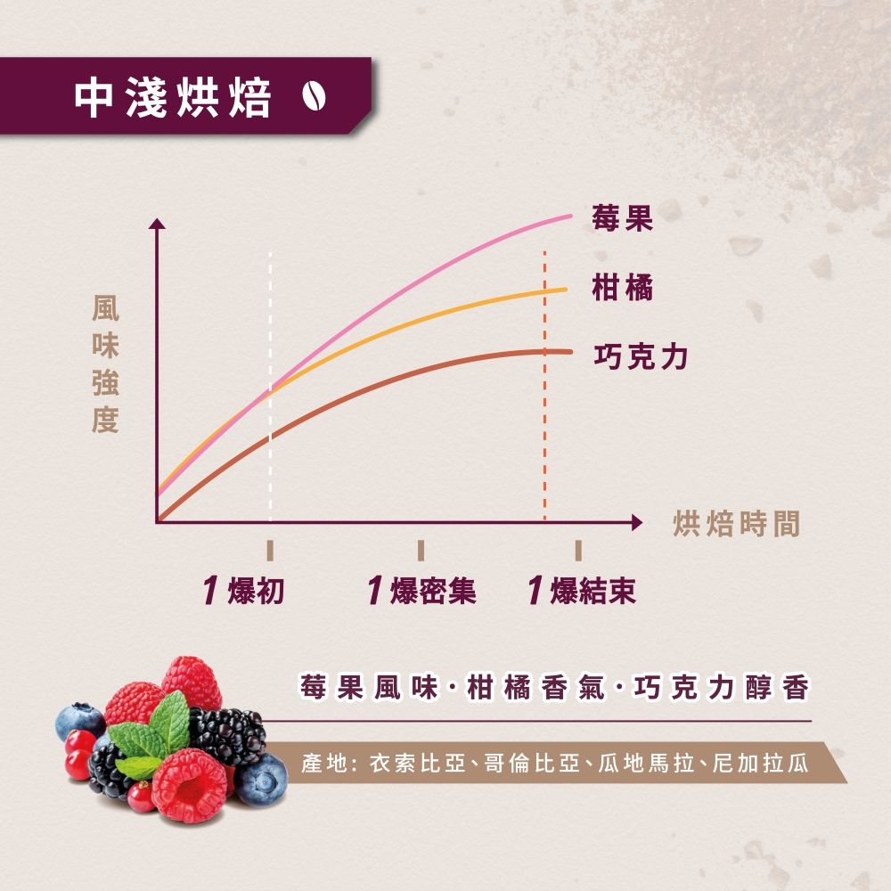 金車 《伯朗咖啡》咖啡嚐家濾掛咖啡-盛綻果宴風味(8gx8包/盒)
