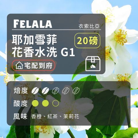 費拉拉咖啡 【費拉拉】【中淺烘焙】耶加雪菲 花香水洗 咖啡豆 20磅箱購