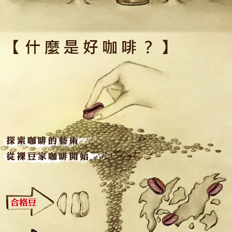 LODOJA 裸豆家 蘭德卡魯瓦/莊園/淺培/美國有機認證/精品阿拉比卡咖啡豆5磅