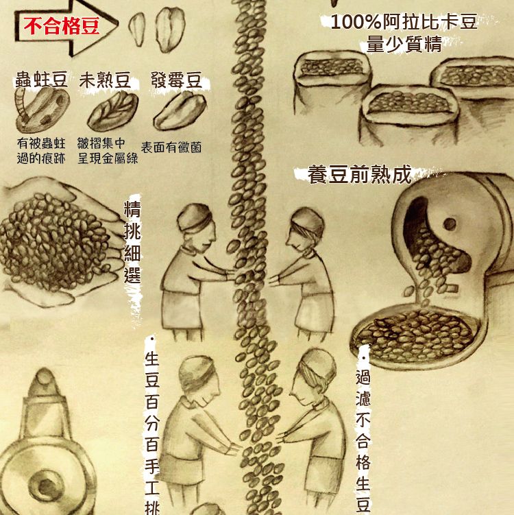 LODOJA 裸豆家 蘭德卡魯瓦/莊園/淺培/美國有機認證/精品阿拉比卡咖啡豆5磅