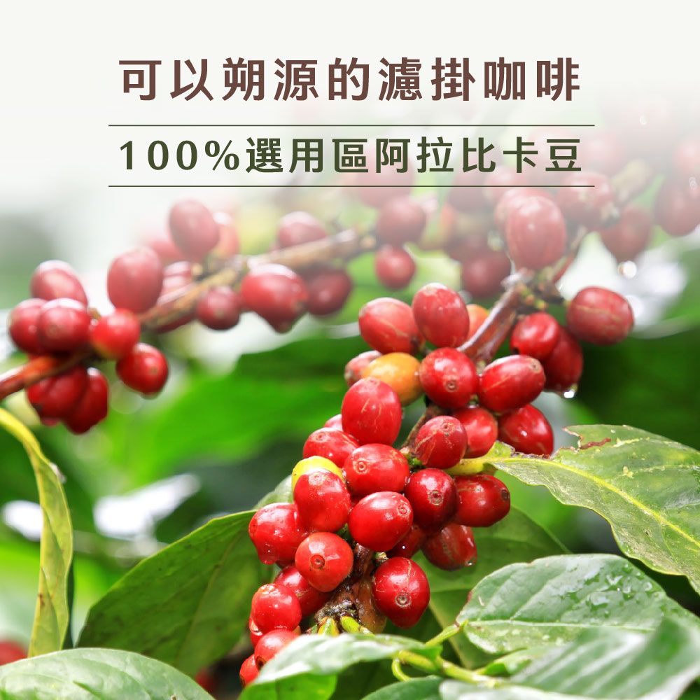 Buon Caffe 步昂咖啡 五種焙度綜合風味濾掛10入盒 15g 五款風味各2包 新鮮烘焙 微手沖濾掛咖啡