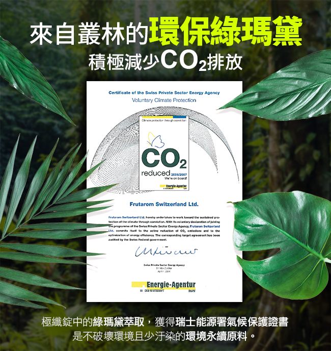 來自叢林的環保綠瑪黛積極減少排放Certifica  e Swiss  Secr  Voluntary Climate Protectireduced  on Frutarom  Ltd        th              Private  Energy Agency  Swzerlte  it     and to  of  .        Energie-Agentur極纖錠中的綠瑪黛萃取,獲得瑞士能源署氣候保護證書是不破壞環境且少汙染的環境永續原料。