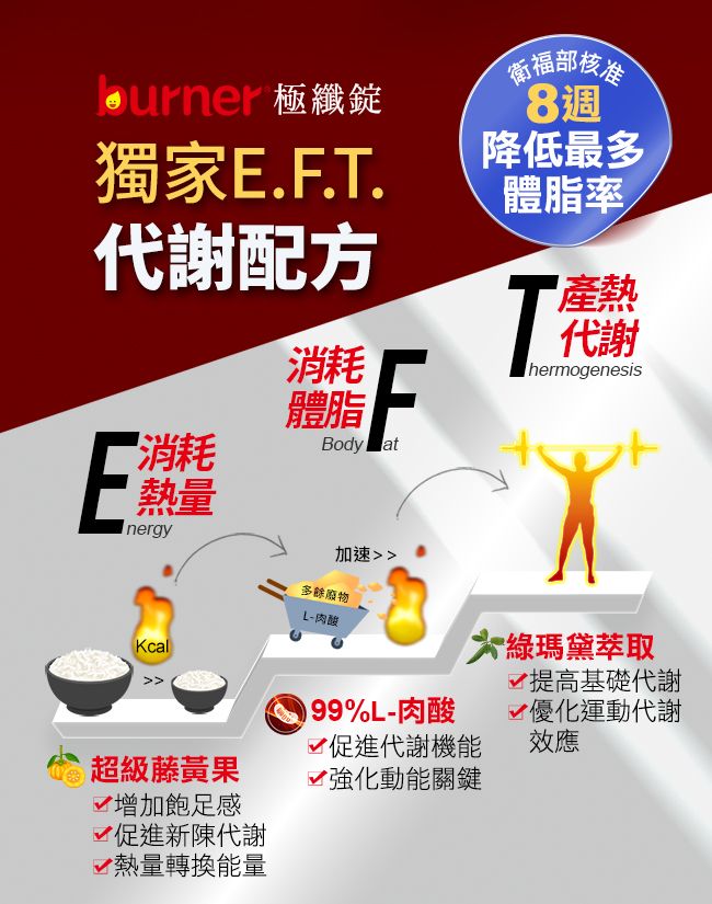 burner獨家E..T.代謝配方消耗熱量nergy消耗體脂FBody at衛福部核准8週降低最多體脂率T熱代謝hermogenesisKcal加速多餘廢物L-肉酸超級藤黃果增加飽足感 促進新陳代謝 熱量轉換能量99%L-肉酸綠瑪黛萃取促進代謝機能√強化動能關鍵√ 提高基礎代謝√優化運動代謝效應