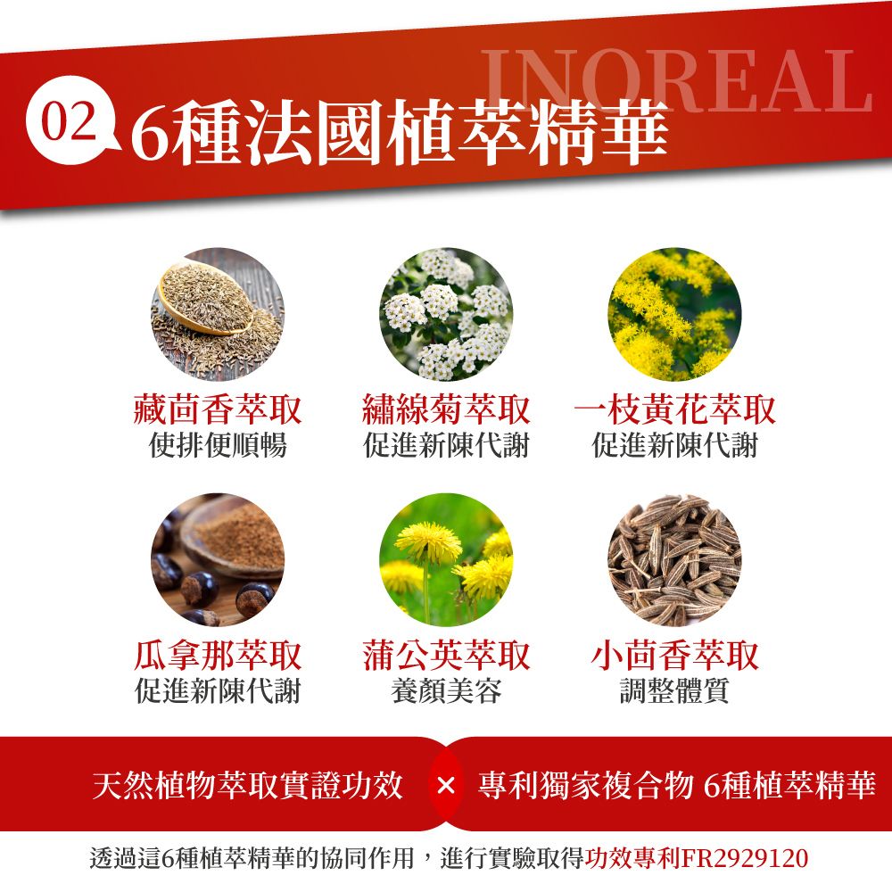 INOREAL 6種法國植萃精華藏茴香萃取使排便順暢繡線菊萃取 一枝黃花萃取促進新陳代謝 促進新陳代謝瓜拿那萃取促進新陳代謝蒲公英萃取養顏美容小茴香萃取調整體質天然植物萃取實證功效  專利獨家複合物6種植萃精華透過這6種植萃精華的協同作用,進行實驗取得功效專利FR2929120