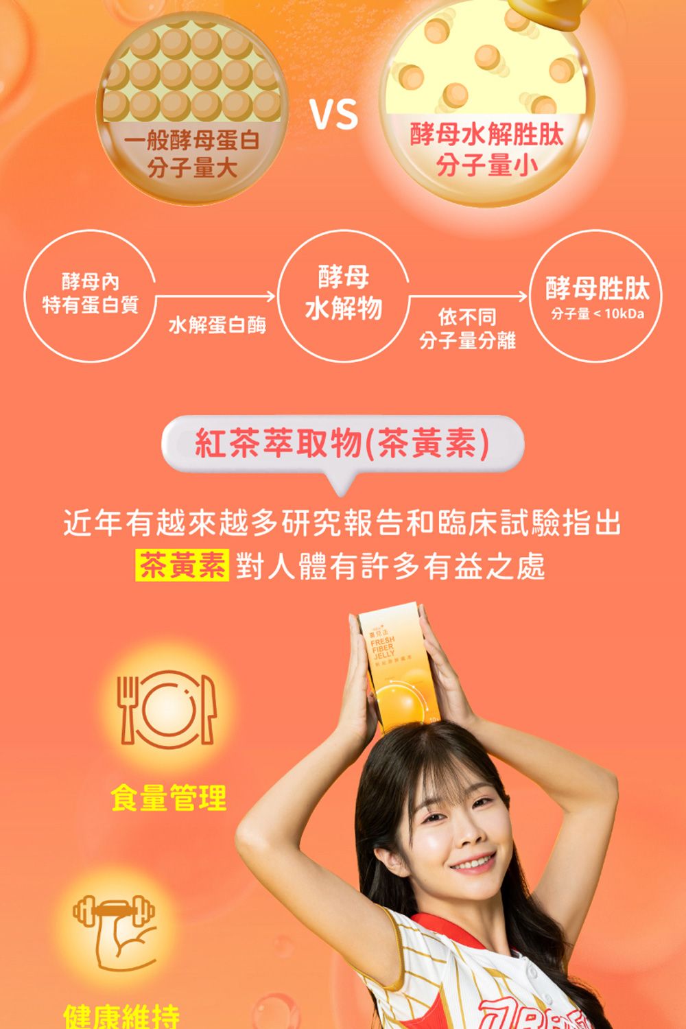 VS一般酵母蛋白酵母水解胜肽分子量大分子量小酵母酵母酵母胜肽特有蛋白質水解物水解蛋白酶依不同分子量分離分子量10kDa紅萃取物(茶黃素)近年有越來越多研究報告和臨床試驗指出茶黃素對人體有許多有益之處食量管理FRESHFIBERJELLY健康維持