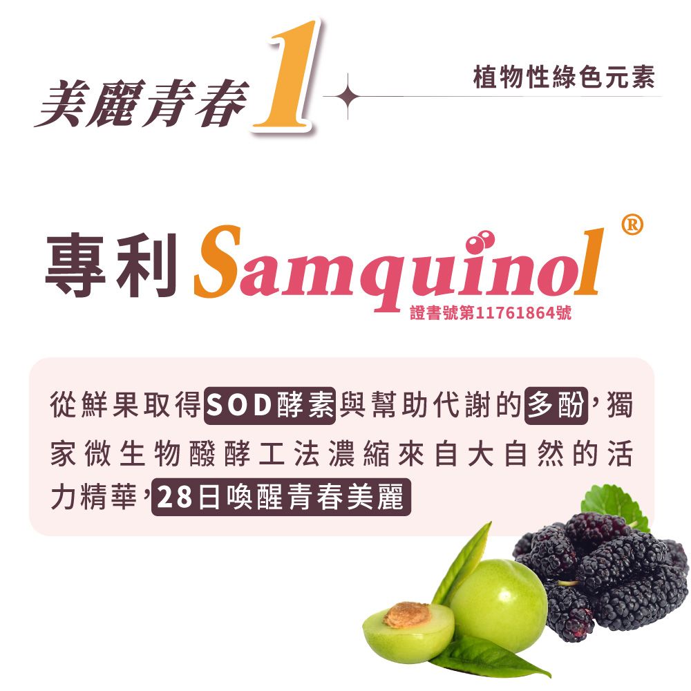 大漢酵素 NMN酵素之王粉30000(2.5gx15包/盒)(3件組)