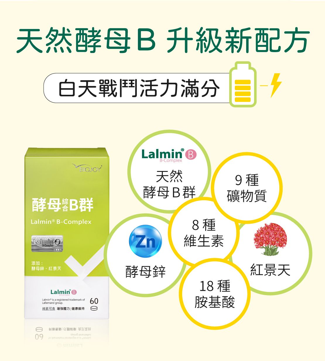 天然酵母升级新配方白天戰鬥活力滿分Lalmin B-Complex天然9種酵母B群礦物質酵母B群Lalmin ® B-ComplexLalmin 8種維生素添加:酵母鋅、紅景天酵母鋅紅景天 BLalmin® is a registered trademark ofLallemand group純素可食 增強體力|健康維持6009  18 種胺基酸