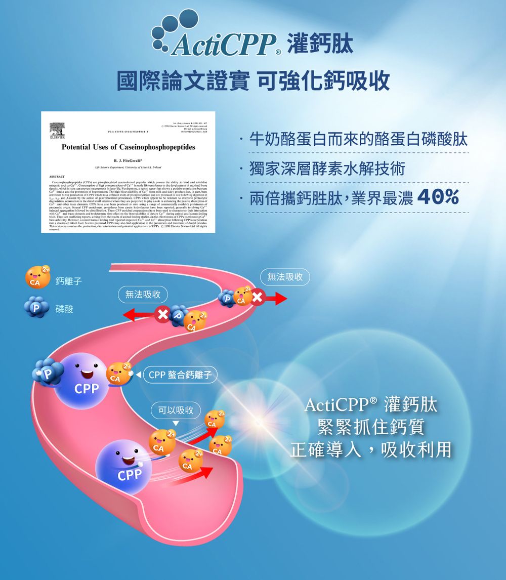 ∴Acti 灌鈣肽國際論文證實 可強化鈣吸收Potntil Uses  seophospho牛奶酪蛋白而來的酪蛋白磷酸肽R J  獨家深層酵素水解技術    peptides         C                     e.      a        .            in  .          a      ofCPP       兩倍攜鈣胜肽業界最濃40%      to       of     and    ,   the  of     the  of    鈣離子P磷酸CPP無法吸收無法吸收CPPCPP螯合鈣離子可以吸收ActiCPP® 灌鈣肽緊緊抓住鈣質正確導入,吸收利用