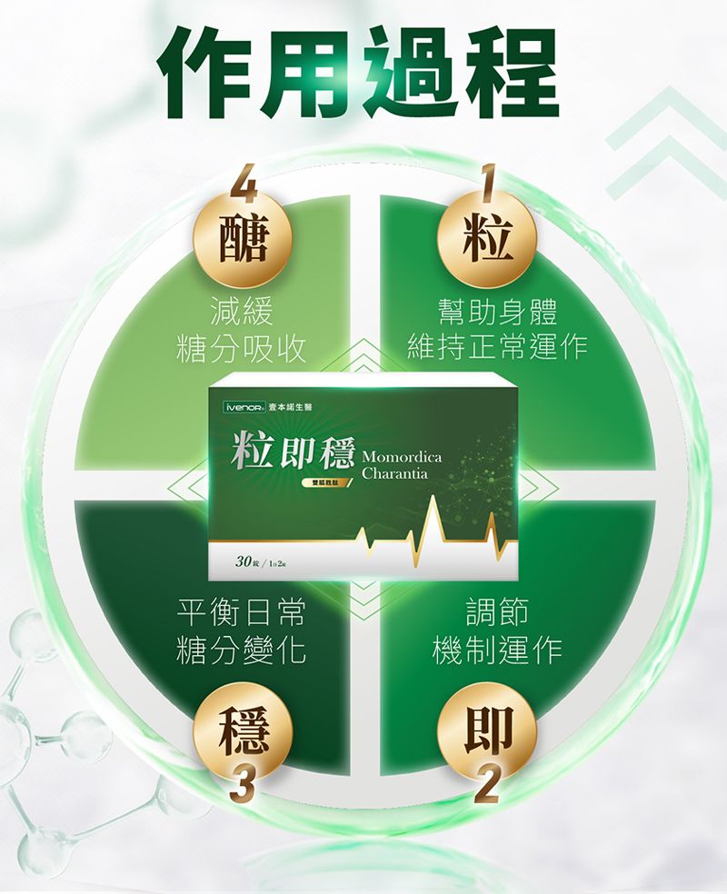 作用過程醣減緩糖分吸收粒幫助身體維持正常運作本生醫粒即平衡日常糖分變化穩MomordicaCharantia調節機制運作即2