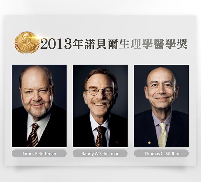 2013年諾貝爾生理學醫學獎James E.RothmanRandy W.SchekmanThomas  Südhof