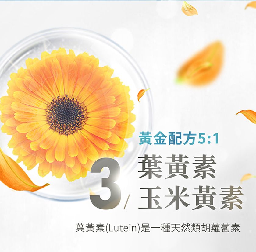 3黃金配方5:1葉黃素玉米黃素葉黃素(Lutein)是一種天然類胡蘿蔔素