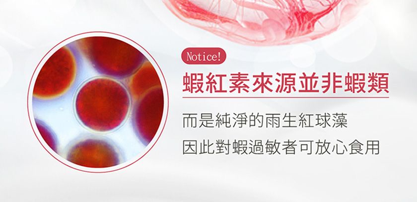 Notice!!蝦紅素來源並非蝦類而是純淨的雨生红球藻因此對蝦過敏者可放心食用