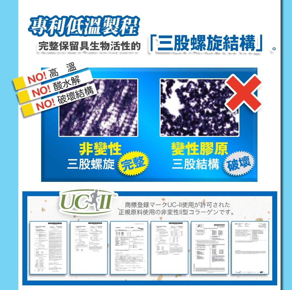 【專利低溫製程完整保留具生物活性的「三股螺旋結構NO! 高溫NO! 酸水解NO! 破壞結構變性三股螺旋變性膠原三股結構  商標UC使用正規原料使用の非許可一分寸。-