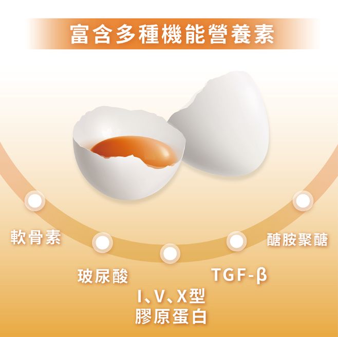 軟骨素富含多種機能營養素玻尿酸V、X型膠原蛋白TGF-B醣胺聚醣