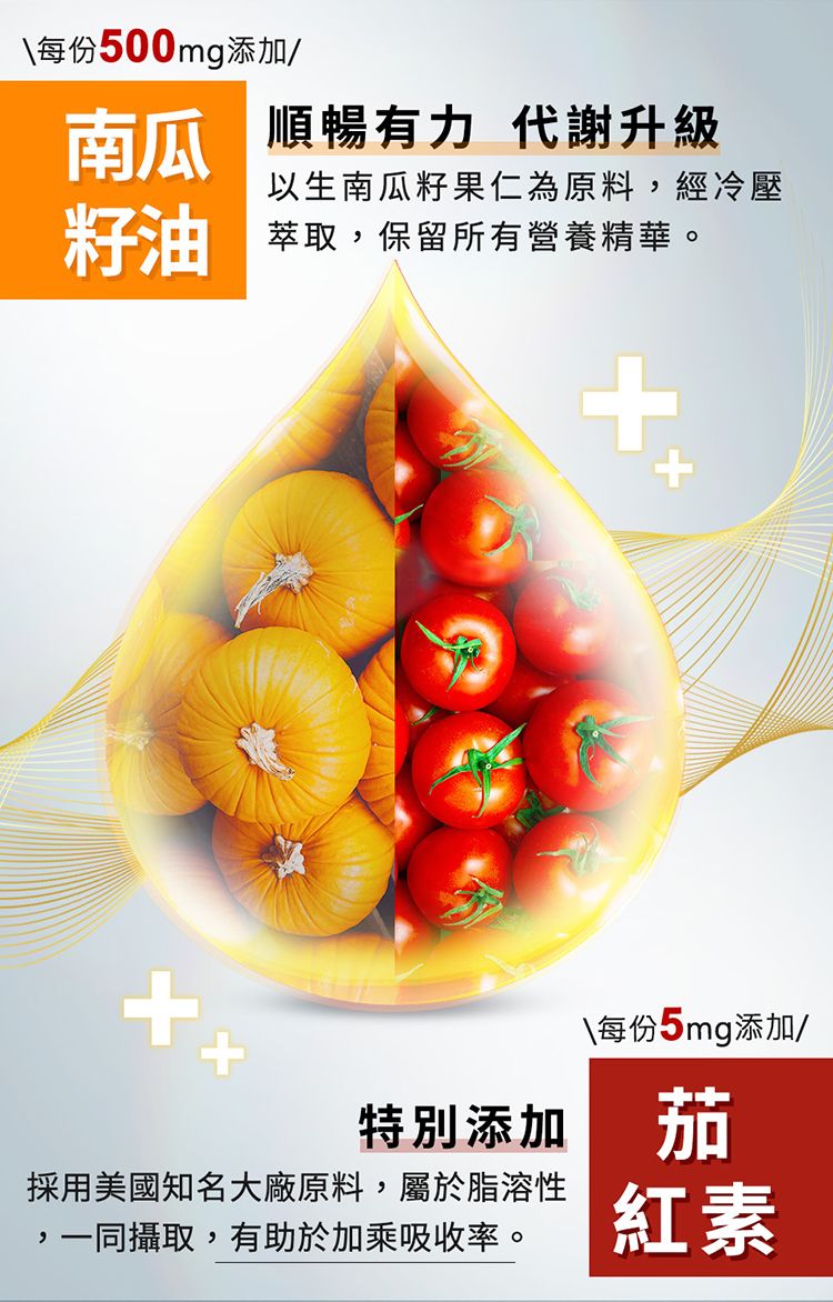 \每份500mg添加/ 順暢有力 代謝升級以生南瓜籽果仁為原料經冷壓籽油 萃取,保留所有營養精華。+\每份5mg添加/特別添加茄採用美國知名大廠原料,屬於脂溶性,一同攝取,有助於加乘吸收率。紅素