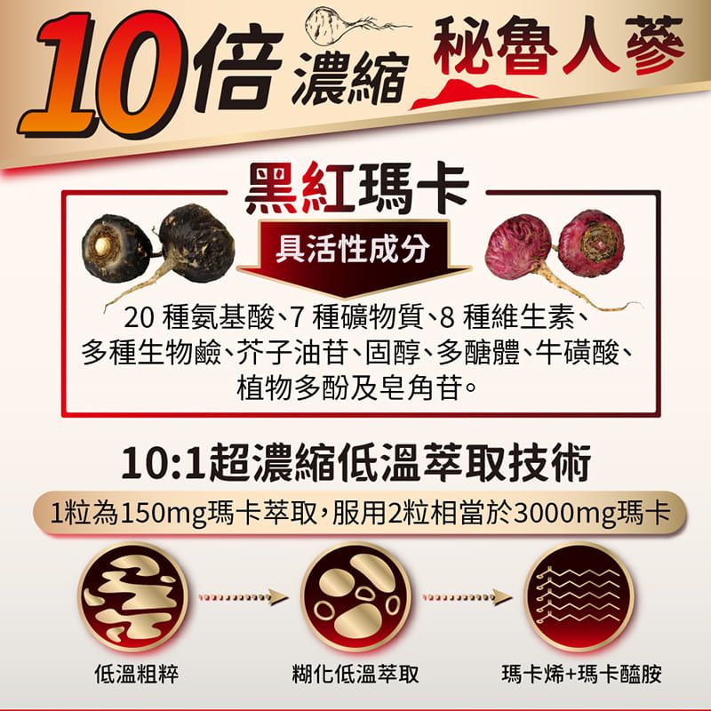 10倍濃縮秘魯人蔘黑紅瑪卡具活性成分20 種氨基酸7種礦物質8種維生素、多種生物鹼、芥子油苷、固醇、多醣體、牛磺酸、植物多酚及皂角苷。10:1超濃縮低溫萃取技術1粒為150mg瑪卡萃取,服用2粒相當於3000mg瑪卡低溫粗粹糊化低溫萃取瑪卡烯+瑪卡醯胺