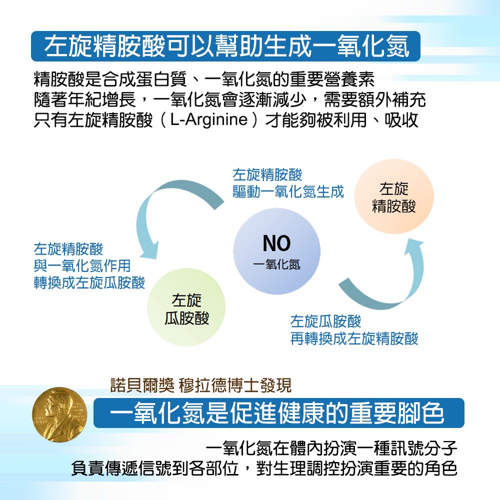 左旋精胺酸可以幫助生成一氧化氮精胺酸是合成蛋白質、一氧化氮的重要營養素隨著年紀增長,一氧化氮會逐漸減少,需要額外補充只有左旋精胺酸(L-Arginine)才能夠被利用、吸收左旋精胺酸驅動一氧化氮生成左旋精胺酸左旋精胺酸NO與一氧化氮作用一氧化氮轉換成左旋瓜胺酸左旋瓜胺酸左旋瓜胺酸再轉換成左旋精胺酸諾貝爾獎 穆拉德博士發現一氧化氮是促進健康的重要腳色一氧化氮體內扮演一種訊號分子負責傳遞信號到各部位,對生理調控扮演重要的角色