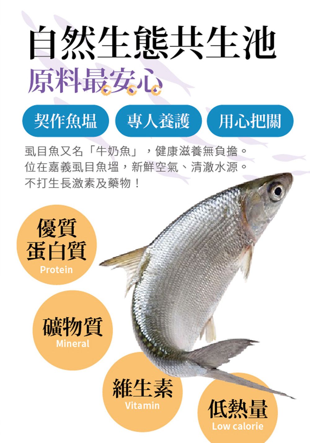 自然生態共生池原料最安心契作魚 專人養護 用心把關虱目魚又名「牛奶魚」,健康滋養無負擔。位在嘉義虱目魚,新鮮空氣、清澈水源。不打生長激素及藥物!優質蛋白質Protein礦物質Mineral維生素Vitamin低熱量Low calorie