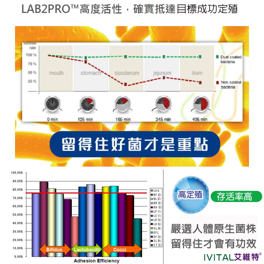  DL-ABS淨敏舒+DL-ABR淨敏舒蔓越莓乳酸菌膠囊(60粒)「日夜雙效加強組」