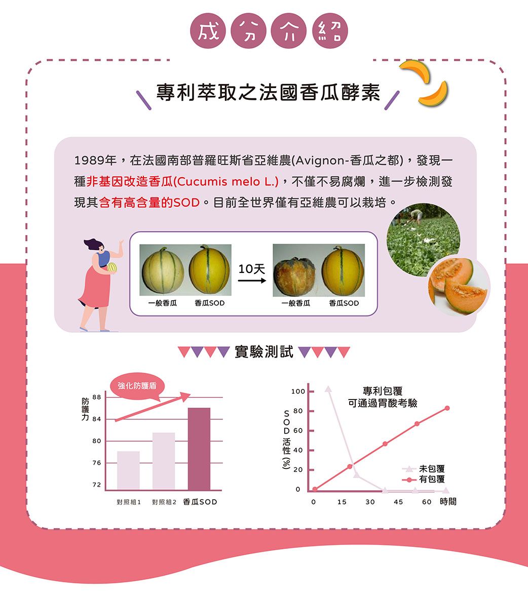 專利萃取之法國香瓜酵素1989年,在法國南部普羅旺斯省亞維農Avignon-香瓜之都,發現一種非基因改造香瓜(Cucumis melo L.),不僅不易腐爛,進一步檢測發現其含有高含量的OD。目前全世界僅有亞維農可以栽培。1天一般香瓜香瓜SOD一般香瓜香瓜SOD強化防護88848076實驗測試100專利包覆可通過胃酸考驗S 80SOD  ()D 20未包覆有包覆72對照組1 對照組2 香瓜SOD015304560 時間