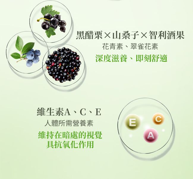 黑醋栗山桑子智利酒果花青素、翠雀花素深度滋養、即刻舒適維生素A、C、E人體所需營養素E維持在暗處的視覺A具抗氧化