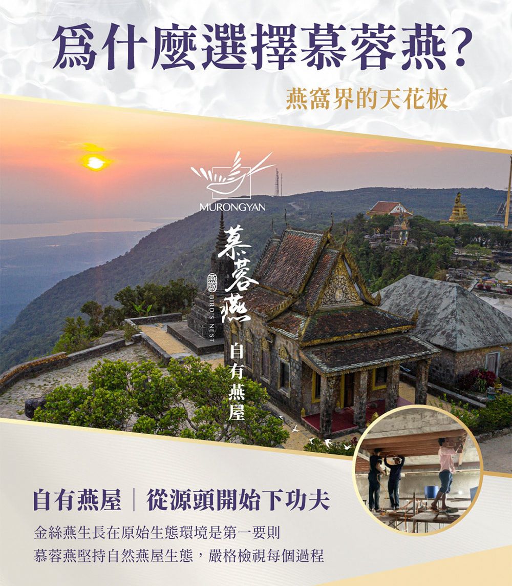 為什麼選擇慕蓉?燕窩界的天花板MURONGYAN BIRDS 燕自有燕屋|從源頭開始下功夫金絲燕生長在原始生態環境是第一要則慕蓉燕堅持自然燕屋生態,嚴格檢視每個過程