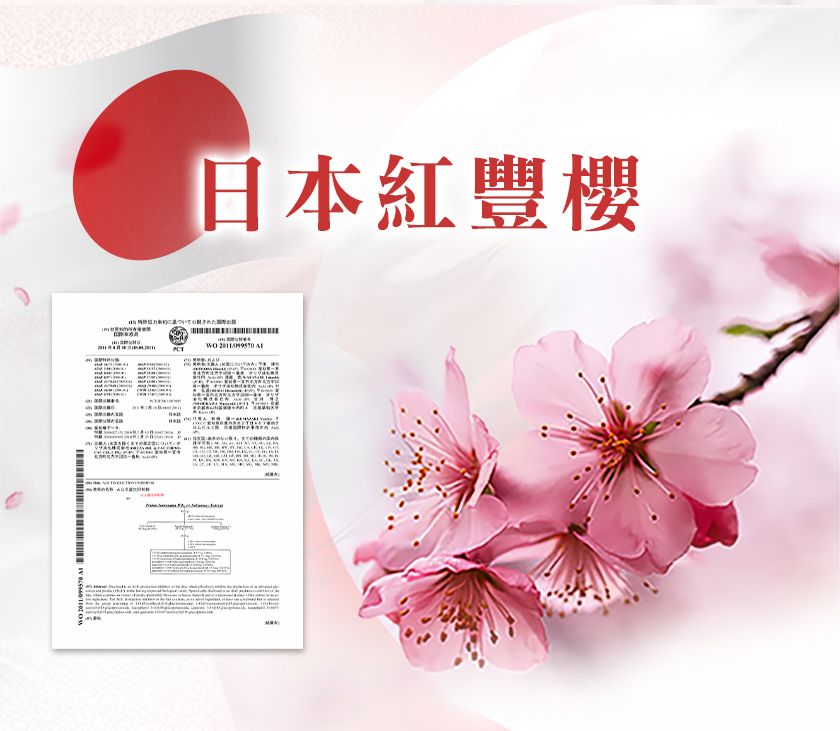 日本紅豐