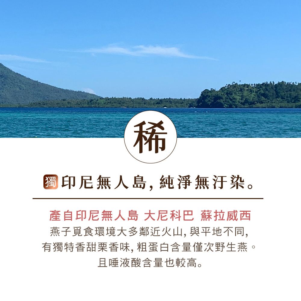 稀印尼無人島,純淨無汙染。產自印尼無人島 大尼科巴 蘇拉威西燕子覓食環境大多鄰近火山,與平地不同,有獨特香甜栗香味,粗蛋白含量僅次野生燕。且唾液酸含量也較高。