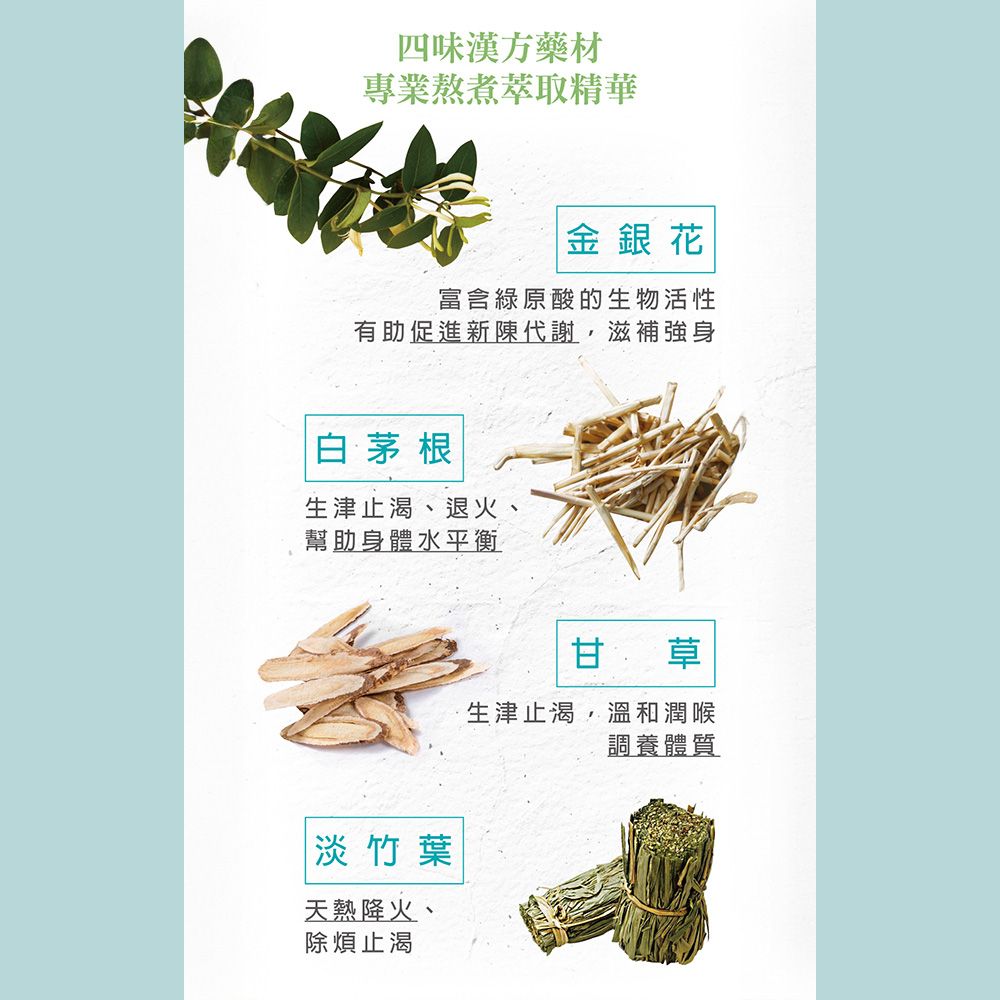 紫金堂 金銀花茶(7包x3盒) 補水解渴/降火氣/促進代謝