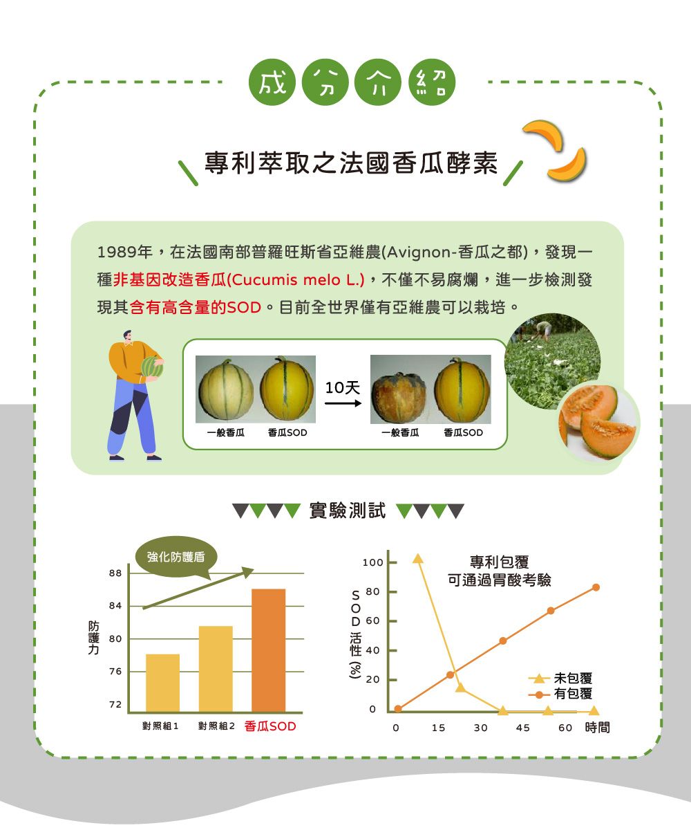 = 專利萃取之法國香瓜酵素1989年,在法國南部普羅旺斯省亞維農Avignon-香瓜之都,發現一種非基因改造香瓜(Cucumis melo L.),不僅不易腐爛,進一步檢測發現其含有高含量的。目前全世界僅有亞維農可以栽培。強化防護盾888487610天一般香瓜 香瓜OD一般香瓜 香瓜SOD實驗測試100專利包覆可通過胃酸考驗SOD  ()S 80400未包覆有包覆720對照組1 對照組2 香瓜SOD15304560 時間