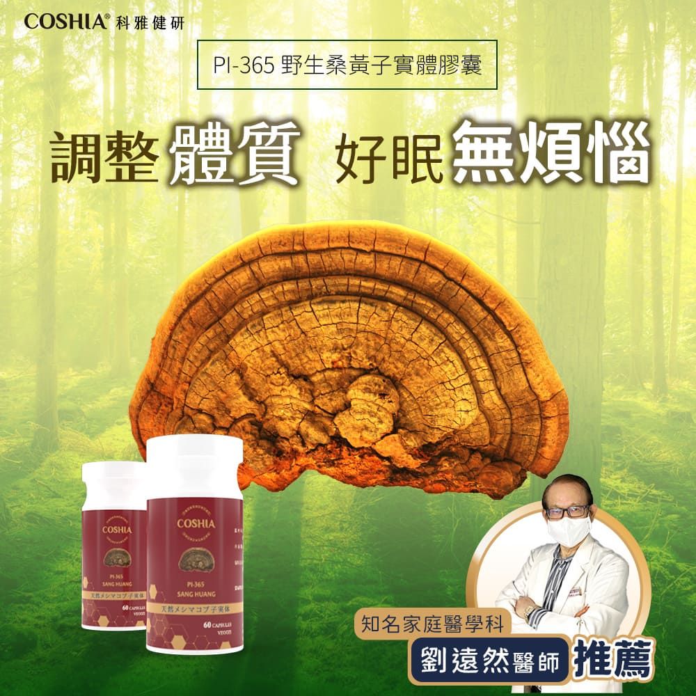 Coshia 科雅健研 野生桑黃子實體膠囊