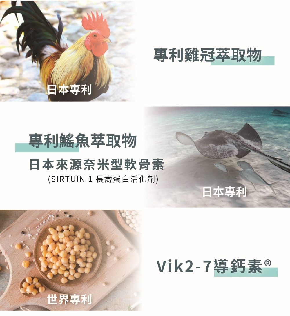 日本專利專利雞冠萃取物專利魚萃取物日本來源奈米型軟骨素(SIRTUIN 1 長壽蛋白活化劑)日本專利世界專利Vik2-7導鈣素 ®