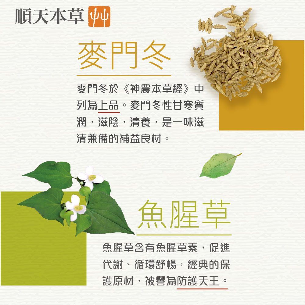 Sun Ten 順天本草 順天本草2.5-魚腥草配方(15包/盒)