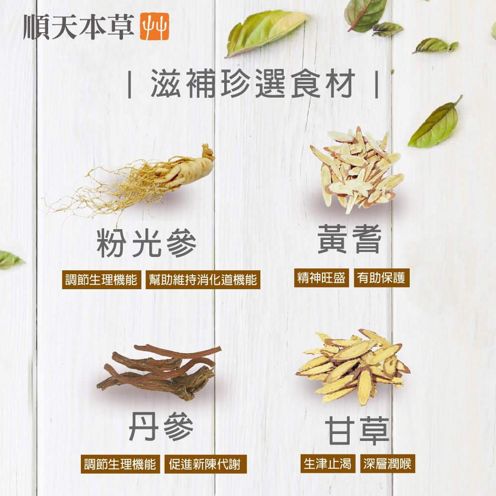 Sun Ten 順天本草 粉光元氣茶(10包/盒)-粉光參、西洋參、黃耆